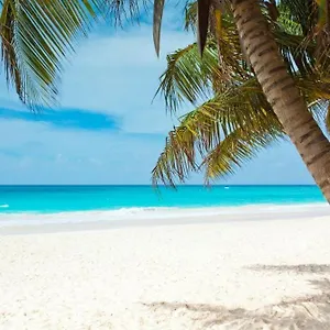 Season Paradise In Cortez Apartment